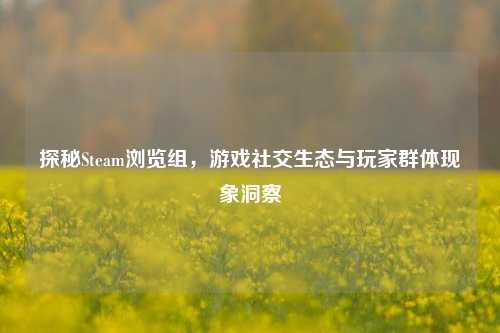 探秘Steam浏览组，游戏社交生态与玩家群体现象洞察