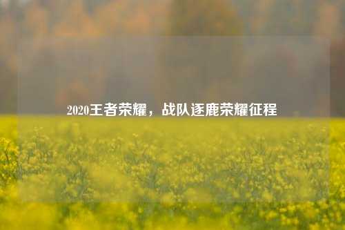 2020王者荣耀，战队逐鹿荣耀征程