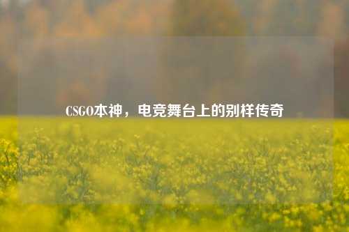 CSGO本神，电竞舞台上的别样传奇