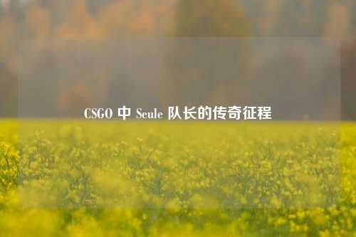 CSGO 中 Seule 队长的传奇征程