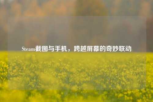 Steam截图与手机，跨越屏幕的奇妙联动