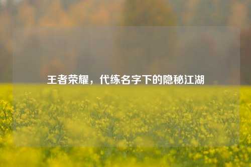 王者荣耀，代练名字下的隐秘江湖