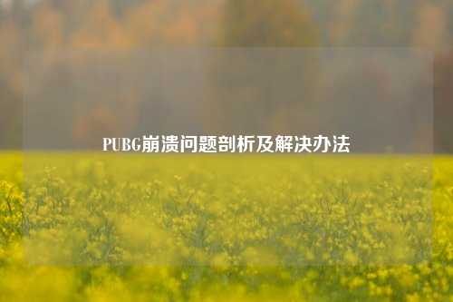PUBG崩溃问题剖析及解决办法