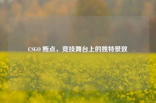 CSGO 断点，竞技舞台上的独特景致