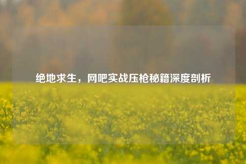 绝地求生，网吧实战压枪秘籍深度剖析