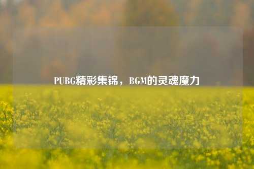PUBG精彩集锦，BGM的灵魂魔力