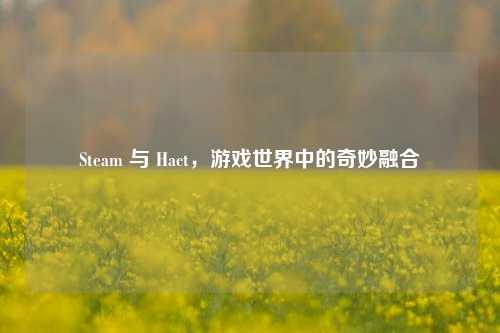 Steam 与 Hact，游戏世界中的奇妙融合