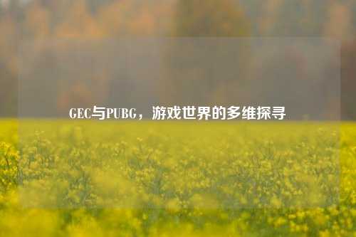 GEC与PUBG，游戏世界的多维探寻