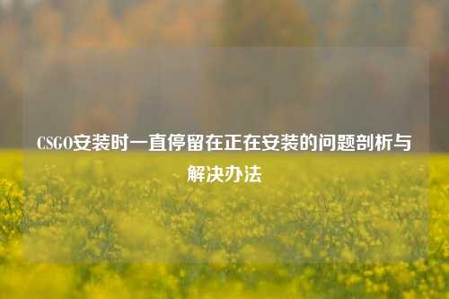 CSGO安装时一直停留在正在安装的问题剖析与解决办法