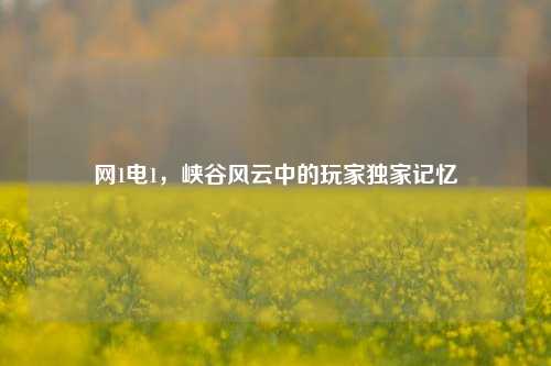 网1电1,峡谷风云中的玩家独家记忆