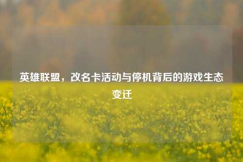 英雄联盟,改名卡活动与停机背后的游戏生态变迁