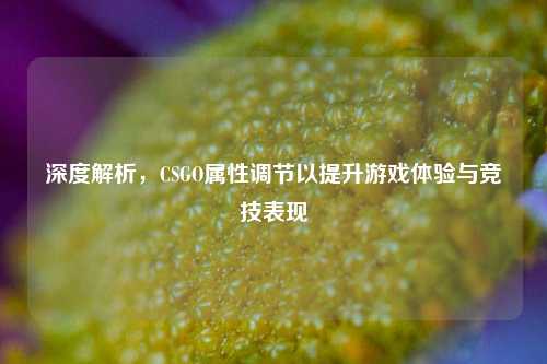 深度解析,CSGO属性调节以提升游戏体验与竞技表现