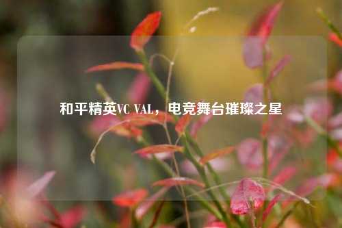 和平精英VC VAL，电竞舞台璀璨之星