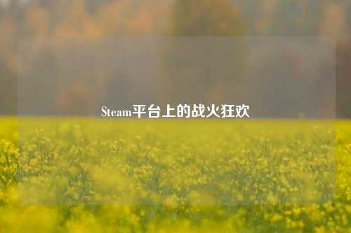 Steam平台上的战火狂欢