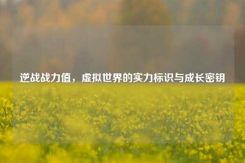 逆战战力值,虚拟世界的实力标识与成长密钥