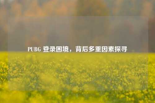 PUBG 登录困境，背后多重因素探寻