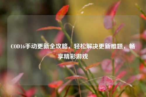 COD16手动更新全攻略，轻松解决更新难题，畅享精彩游戏