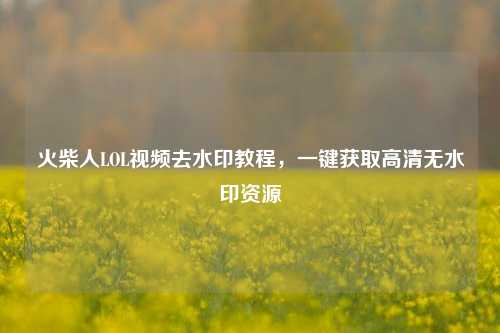 火柴人LOL视频去水印教程，一键获取高清无水印资源