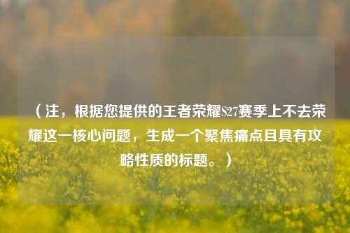 （注，根据您提供的王者荣耀S27赛季上不去荣耀这一核心问题，生成一个聚焦痛点且具有攻略性质的标题。）