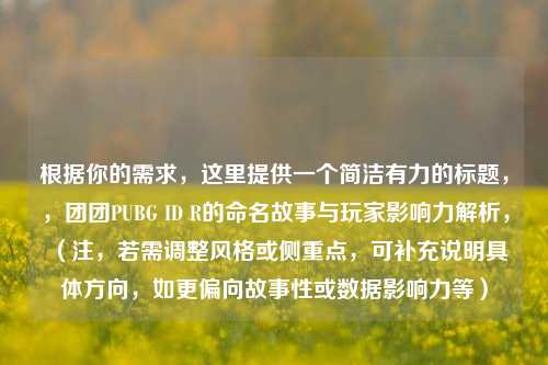 根据你的需求，这里提供一个简洁有力的标题，，团团PUBG ID R的命名故事与玩家影响力解析，（注，若需调整风格或侧重点，可补充说明具体方向，如更偏向故事性或数据影响力等）