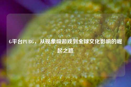G平台PUBG,从现象级游戏到全球文化影响的崛起之路