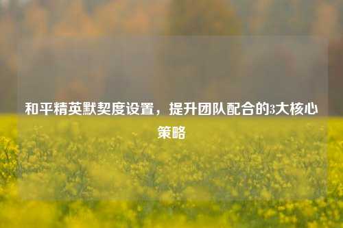 和平精英默契度设置,提升团队配合的3大核心策略