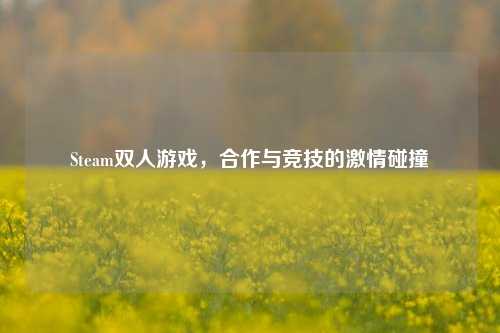 Steam双人游戏,合作与竞技的 *** 碰撞