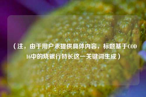（注，由于用户未提供具体内容，标题基于COD16中的烧银行特长这一关键词生成）