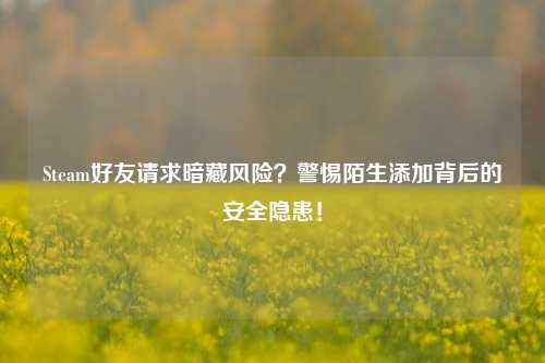 Steam好友请求暗藏风险?警惕陌生添加背后的安全隐患!