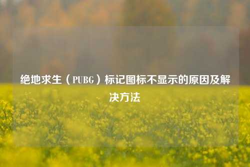 绝地求生(PUBG)标记图标不显示的原因及解决 ***