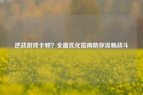 逆战游戏卡顿?全面优化指南助你流畅战斗