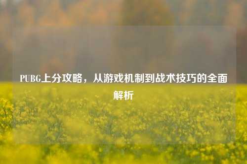 PUBG上分攻略,从游戏机制到战术技巧的全面解析