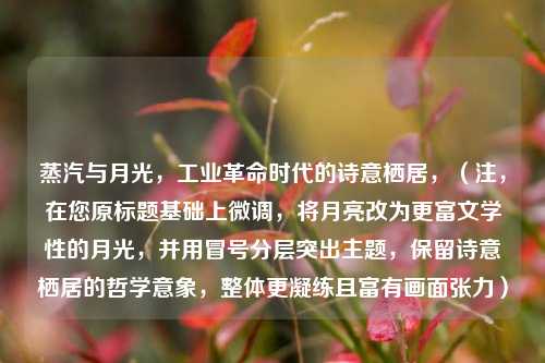 蒸汽与月光,工业革命时代的诗意栖居,(注,在您原标题基础上微调,将月亮改为更富文学性的月光,并用冒号分层突出主题,保留诗意栖居的哲学意象,整体更凝练且富有画面张力)