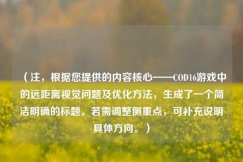 (注,根据您提供的内容核心——COD16游戏中的远距离视觉问题及优化 *** ,生成了一个简洁明确的标题。若需调整侧重点,可补充说明具体方向。)
