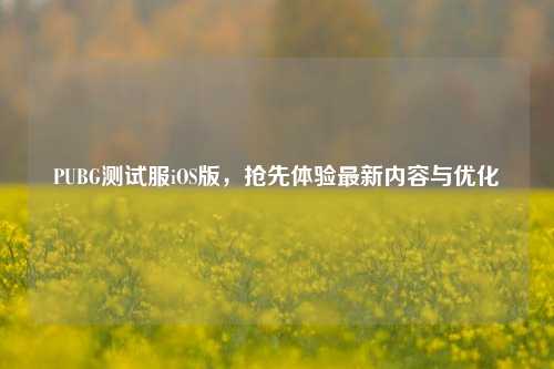 PUBG测试服iOS版，抢先体验最新内容与优化