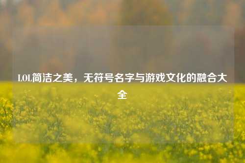 LOL简洁之美，无符号名字与游戏文化的融合大全