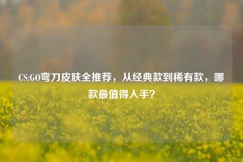 CS:GO弯刀皮肤全推荐，从经典款到稀有款，哪款最值得入手？
