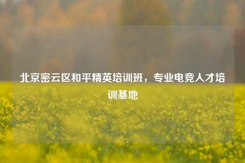 北京密云区和平精英培训班，专业电竞人才培训基地