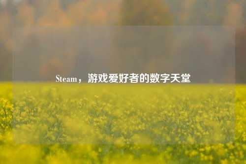 Steam，游戏爱好者的数字天堂