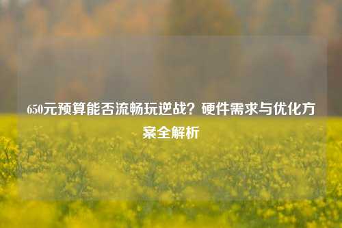 650元预算能否流畅玩逆战？硬件需求与优化方案全解析