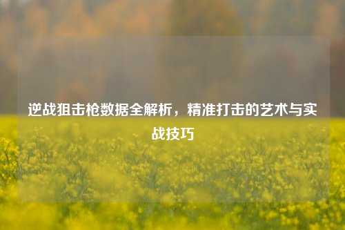 逆战狙击枪数据全解析，精准打击的艺术与实战技巧