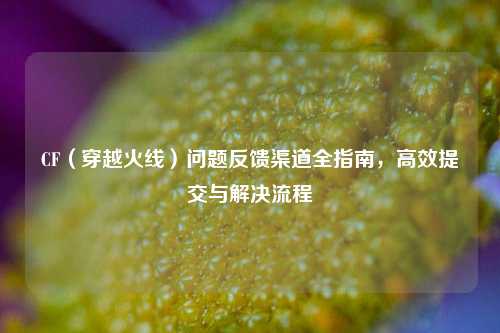 CF（穿越火线）问题反馈渠道全指南，高效提交与解决流程