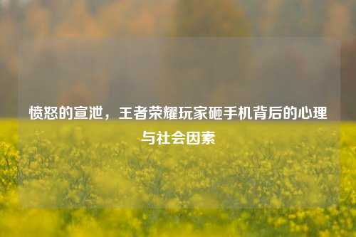 愤怒的宣泄，王者荣耀玩家砸手机背后的心理与社会因素
