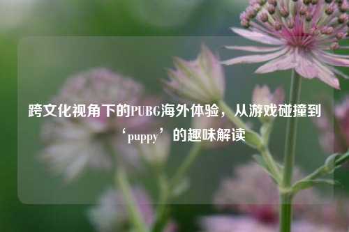 跨文化视角下的PUBG海外体验，从游戏碰撞到‘puppy’的趣味解读