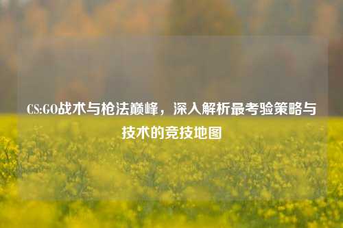 CS:GO战术与枪法巅峰，深入解析最考验策略与技术的竞技地图