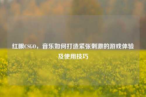 红眼CSGO，音乐如何打造紧张 *** 的游戏体验及使用技巧