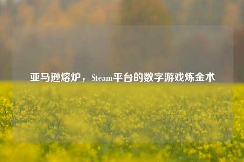 亚马逊熔炉，Steam平台的数字游戏炼金术