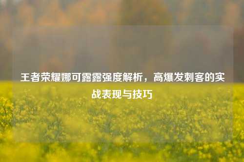 王者荣耀娜可露露强度解析，高爆发刺客的实战表现与技巧