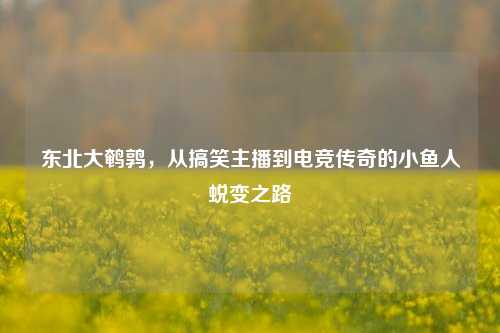 东北大鹌鹑，从搞笑主播到电竞传奇的小鱼人蜕变之路