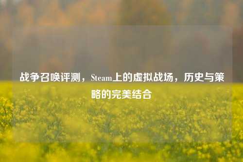 战争召唤评测，Steam上的虚拟战场，历史与策略的完美结合